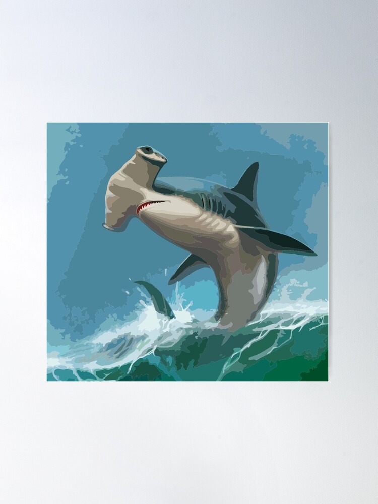 Hammer Head Shark |