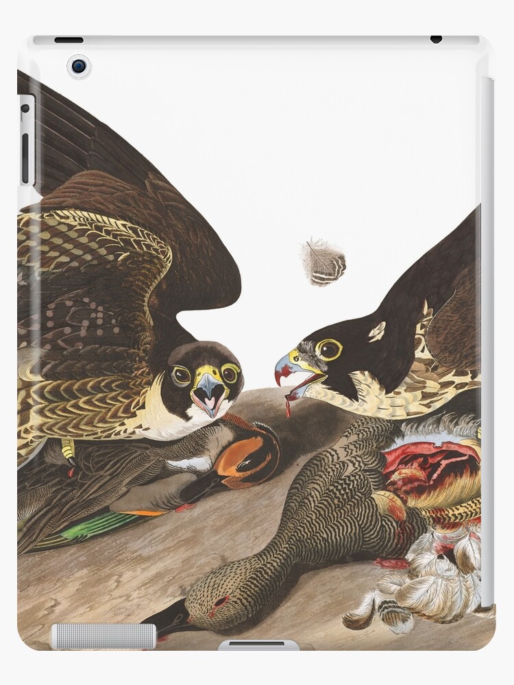 : John J. Audubon Bald Eagle ID Wallet or Cigarette Case USA  Made : Office Products