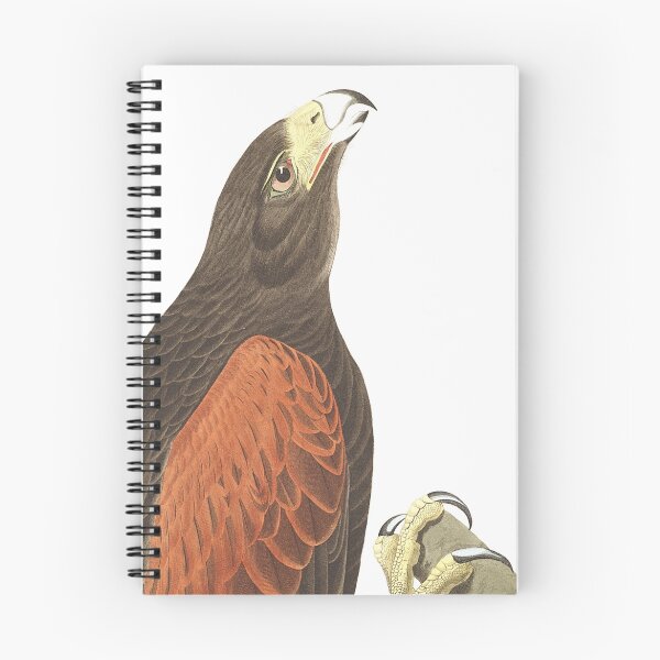 Item preview, Harris's Hawk - John James Audubon designed and sold by billythekidtees.