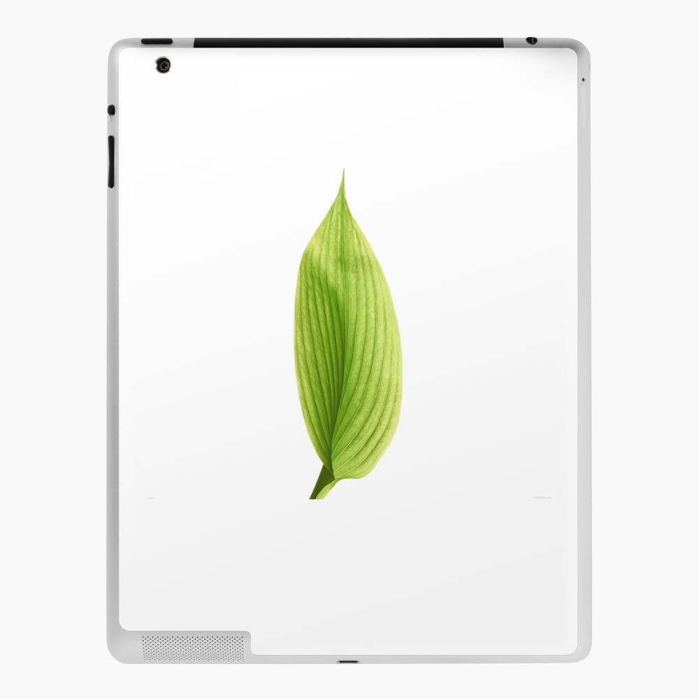 Banana Leaf White Black Peel and Stick Wallpaper PSW1037RL by York Wallpaper