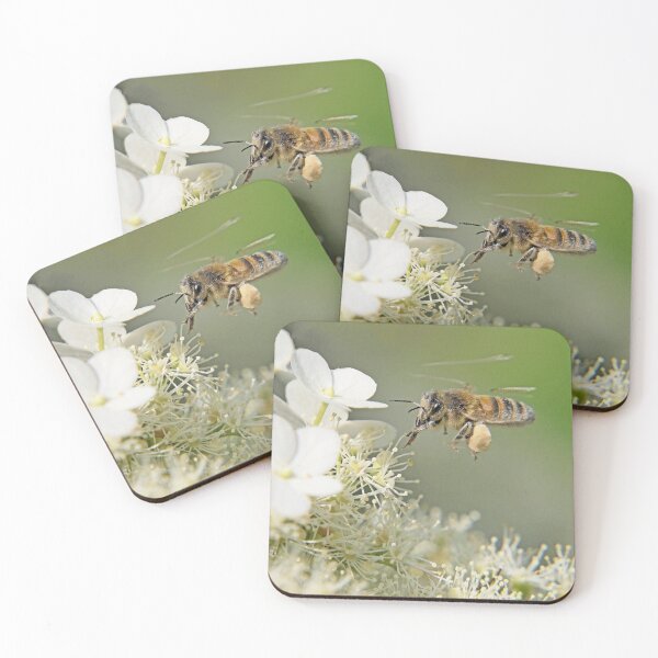 Item preview, r1009 / New Finition 2021- Abeille : Course faite ! (c)(h) Olavia-Olao Okaio Créations designed and sold by o.okaïo.