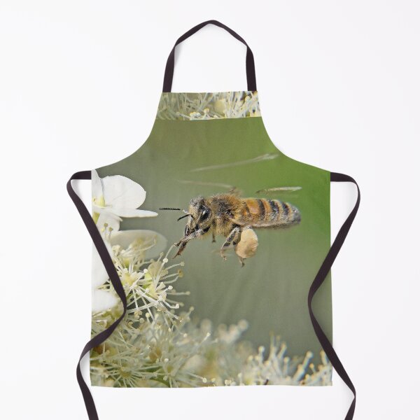 Item preview, r1009 / New Finition 2021- Abeille : Course faite ! (c)(h) Olavia-Olao Okaio Créations designed and sold by o.okaïo.