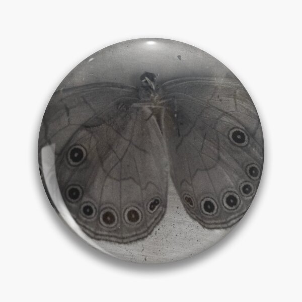 Item preview, moth designed and sold by debschmill.