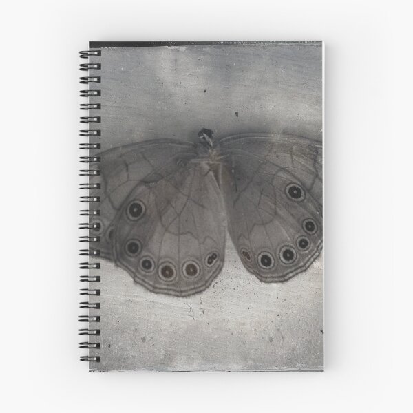 Item preview, moth designed and sold by debschmill.