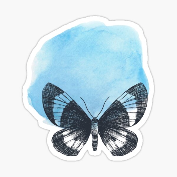"Butterfly Drawing" Sticker for Sale by emyy37 Redbubble