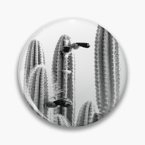 Item preview, Cactus in midday designed and sold by Shawa Shop.