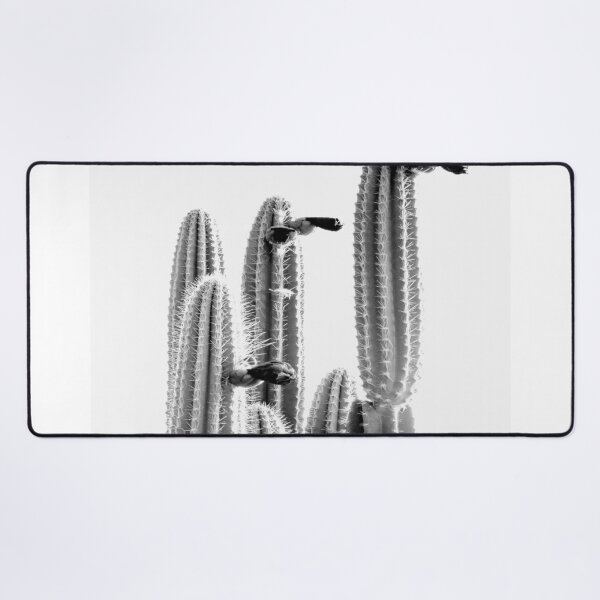 Item preview, Cactus in midday designed and sold by Shawa Shop.