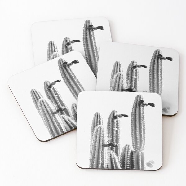 Item preview, Cactus in midday designed and sold by Shawa Shop.