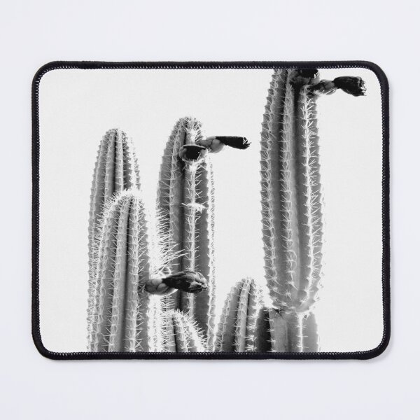Item preview, Cactus in midday designed and sold by Shawa Shop.