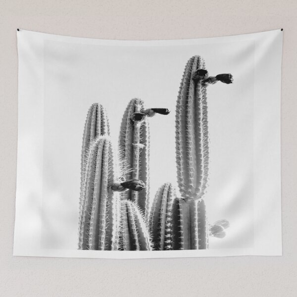 Item preview, Cactus in midday designed and sold by Shawa Shop.
