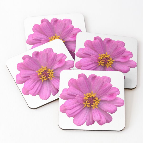 Item preview, Pink Zinnia Flower Still Life Floral Photography designed and sold by CottoVerdi.