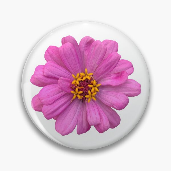 Item preview, Pink Zinnia Flower Still Life Floral Photography designed and sold by CottoVerdi.