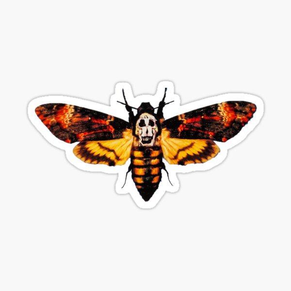 Item preview, Silence Of The Lambs Deaths Head Moth Sticker designed and sold by lattpag.