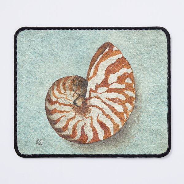 Item preview, Nautilus in watercolor designed and sold by bettinabk.