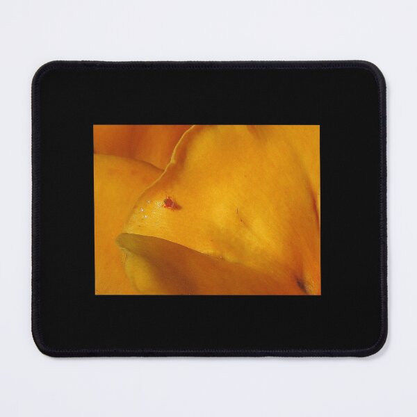 Item preview, Itty Bitty designed and sold by Jean Gregory Evans.