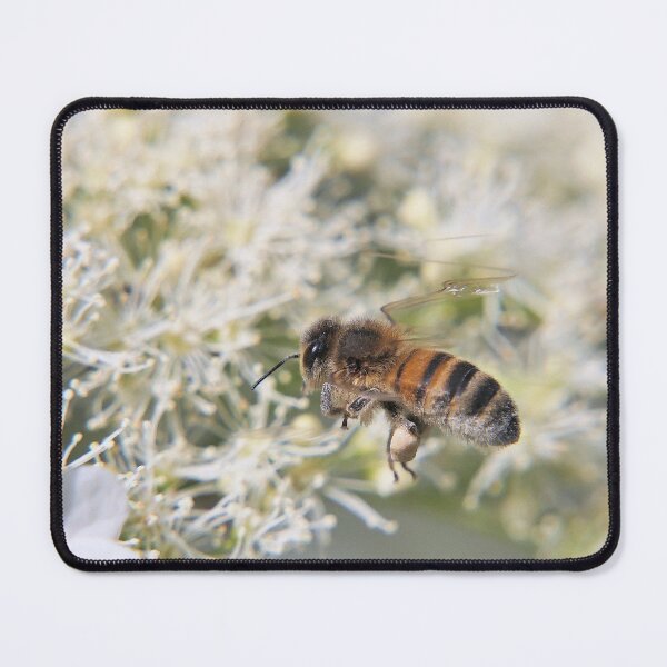 Item preview, r1008 / New Finition 2021- Abeille : Course en Repérage ! (c)(h) Olavia-Olao Okaio Créations designed and sold by o.okaïo.