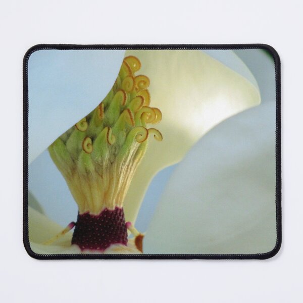 Item preview, Interior designed and sold by Jean Gregory Evans.
