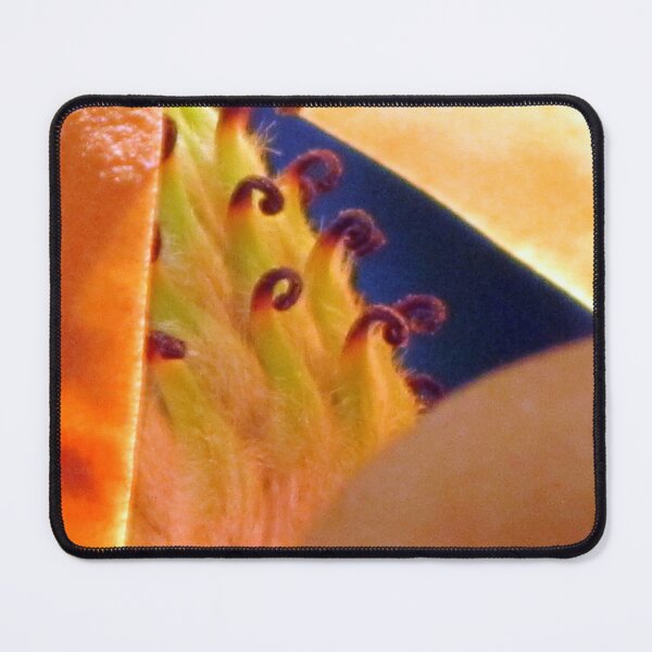 Item preview, Razzle-dazzle designed and sold by Jean Gregory Evans.