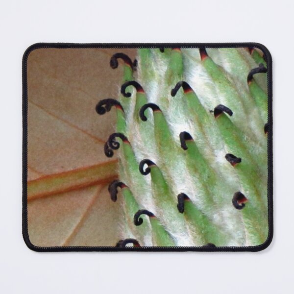 Item preview, Continuum designed and sold by Jean Gregory Evans.