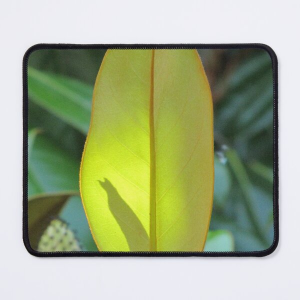 Item preview, Obscurity designed and sold by Jean Gregory Evans.