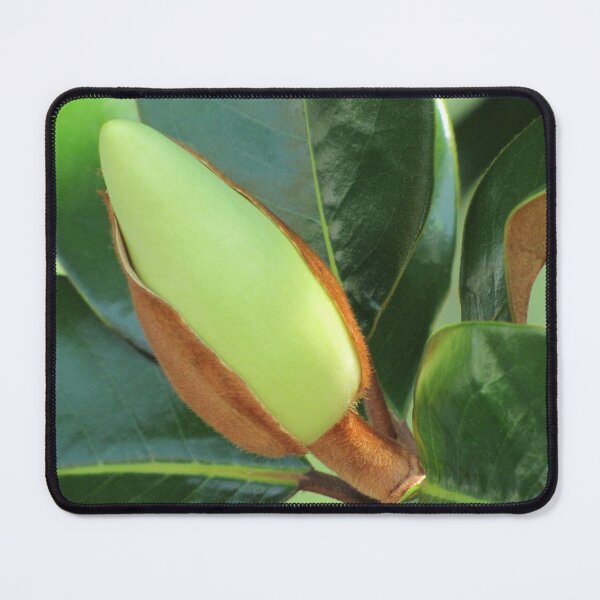 Item preview, Lustrous designed and sold by Jean Gregory Evans.