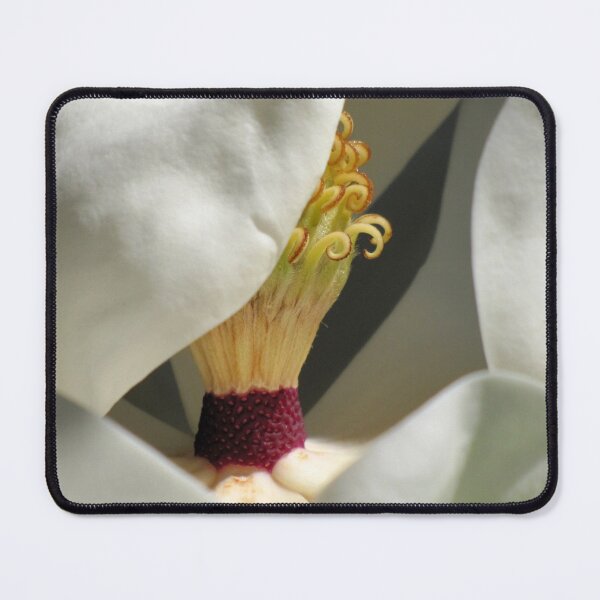 Item preview, Flourish designed and sold by Jean Gregory Evans.