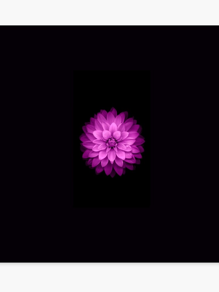 Purple Flower Wallpaper Black Iphone Case Canvas Print By