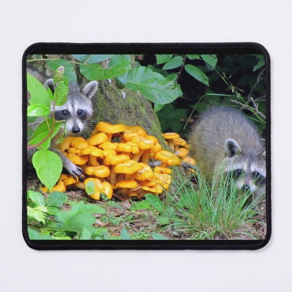 Item preview, "Let's pinch some Witchy Orange Delights" designed and sold by Jean Gregory Evans.