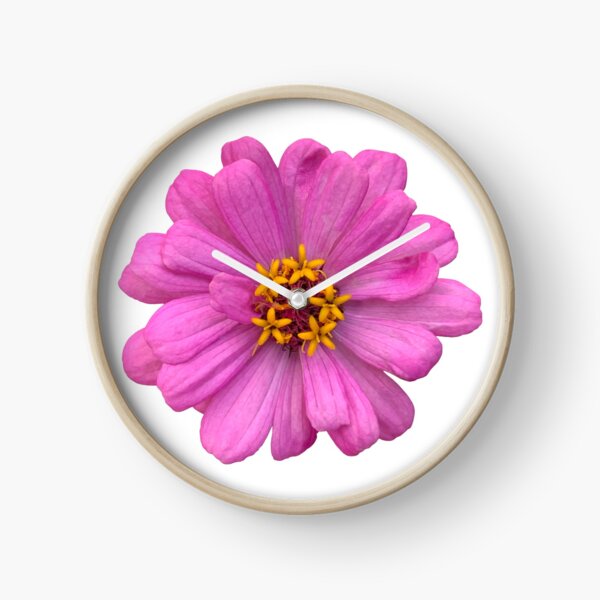 Item preview, Pink Zinnia Flower Still Life Floral Photography designed and sold by CottoVerdi.