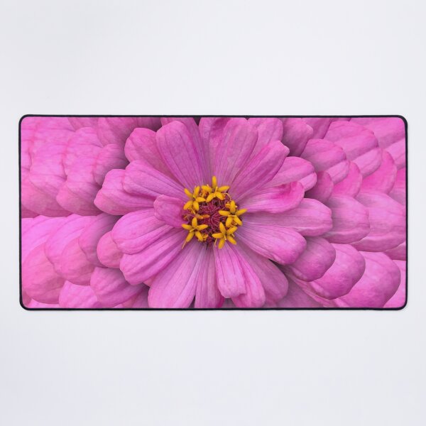 Item preview, Pink Zinnia Flower Still Life Floral Photography designed and sold by CottoVerdi.