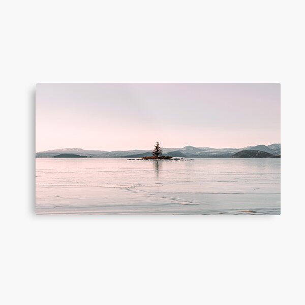 Lonely tree in the middle of a frozen lake Metal Print