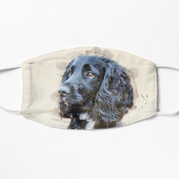 Cocker hotsell spaniel accessories