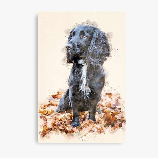 Working cocker hot sale spaniel gifts