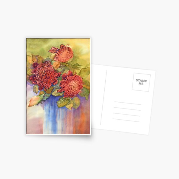 Waratah flowers Postcard