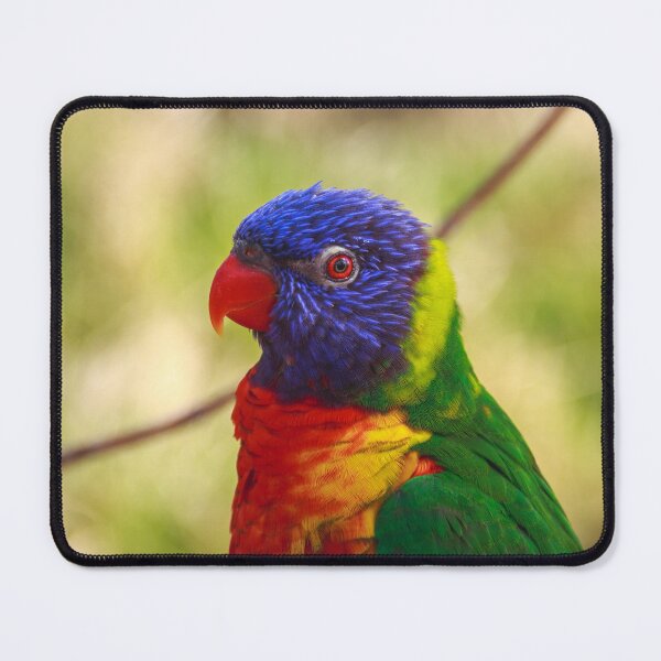 Item preview, colorful bird designed and sold by Naziane2115.