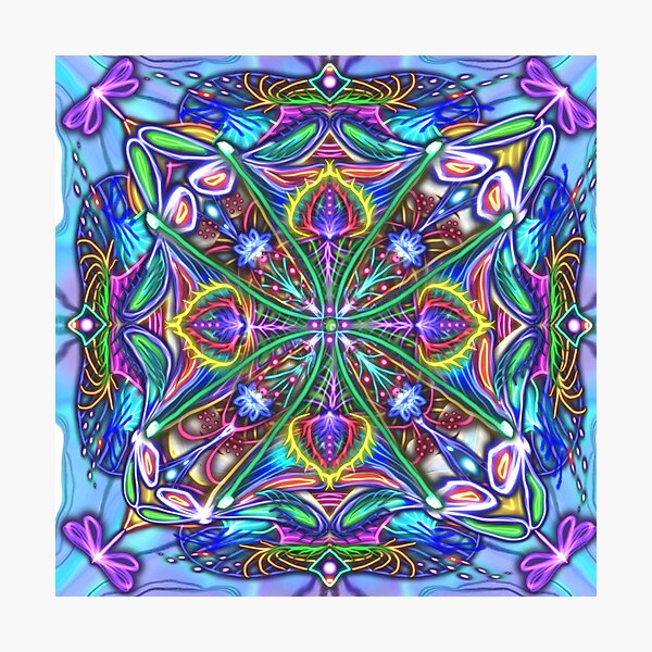 Dragonfly Kaleidoscope I Photographic Print