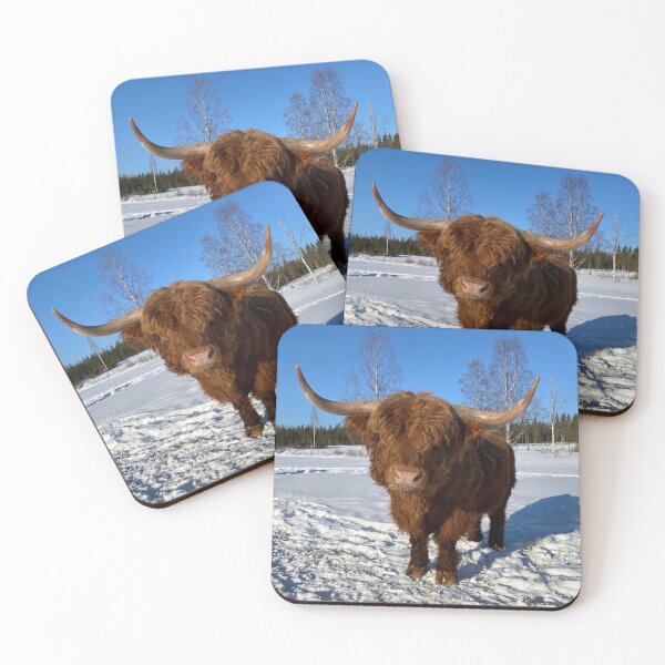 Item preview, Scottish Highland Cattle Bull with big horns in snow 2758 designed and sold by SaarelaHighland.