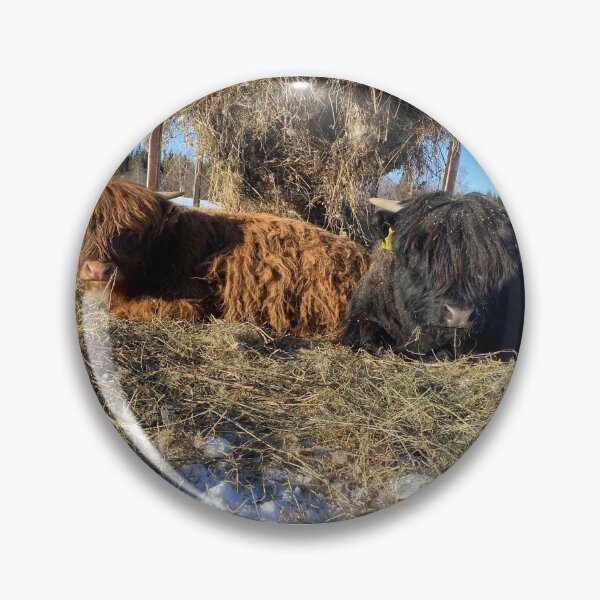 Artikelvorschau, Scottish Highland Cattle Calves in snow 2763 entworfen und verkauft von SaarelaHighland.