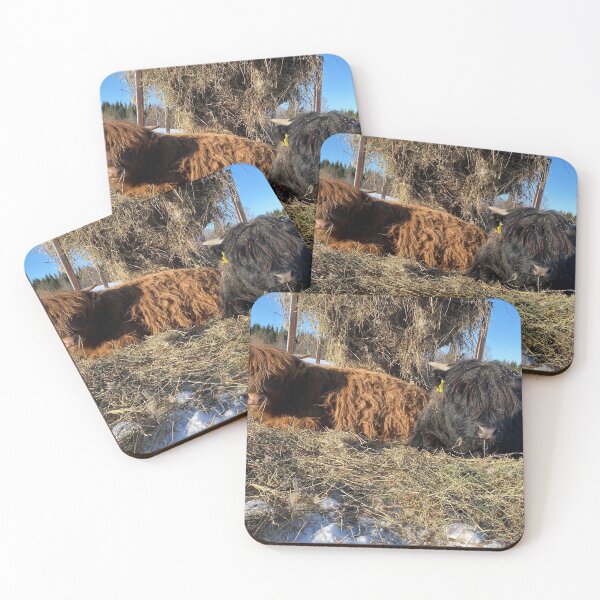 Item preview, Scottish Highland Cattle Calves in snow 2763 designed and sold by SaarelaHighland.