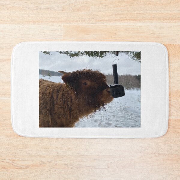 Item preview, Scottish Highland Cattle Calf and GoPro 2764 designed and sold by SaarelaHighland.