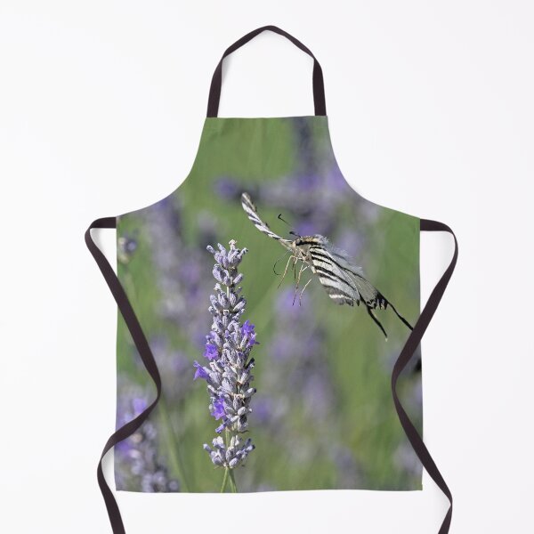 Item preview, r1007 / New Finition 2021- Papillon Flambé : en Approche ! (c)(h) Olavia-Olao Okaio Créations designed and sold by o.okaïo.