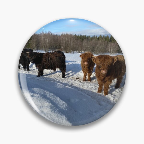 Artikelvorschau, Scottish Highland Cattle Calves in snow 2768 entworfen und verkauft von SaarelaHighland.