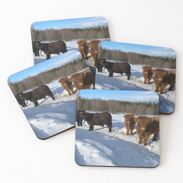 Item preview, Scottish Highland Cattle Calves in snow 2768 designed and sold by SaarelaHighland.