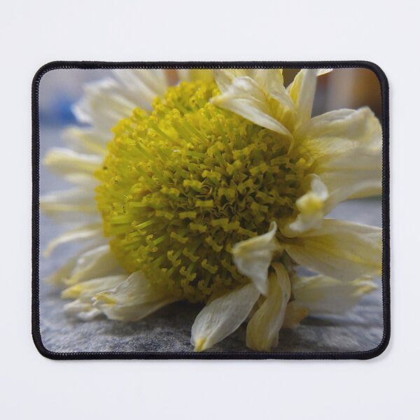 Item preview, Macro shot of a daisy designed and sold by Mistersk3tch.