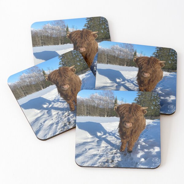 Item preview, Scottish Highland Cattle Calf in snow 2770 designed and sold by SaarelaHighland.
