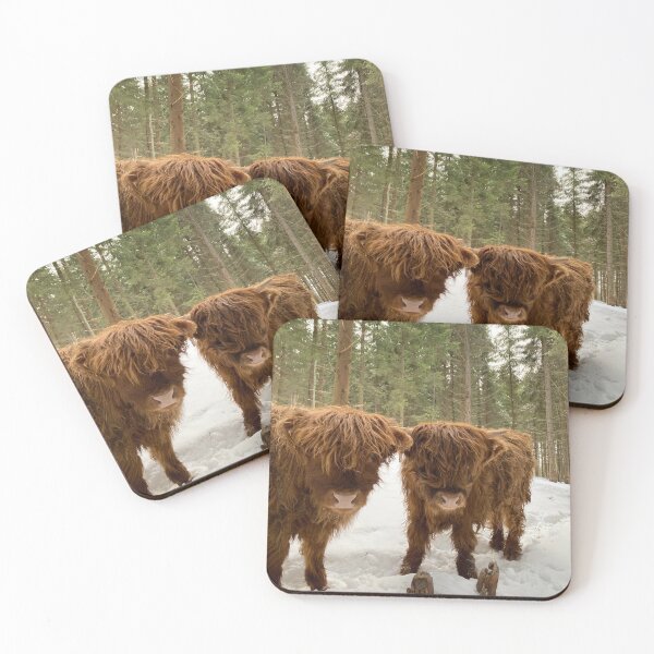 Item preview, Scottish Highland Cattle Calves in snowy forest 2771 designed and sold by SaarelaHighland.