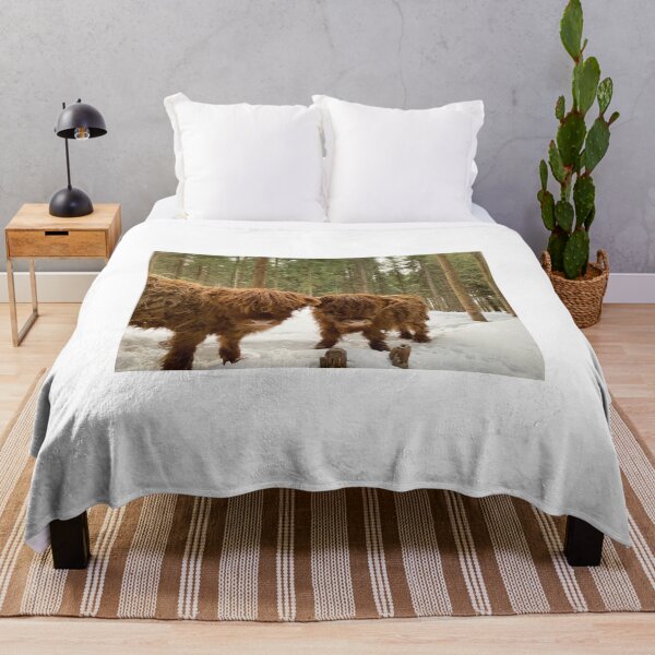Artikelvorschau, Scottish Highland Cattle Calves in snowy forest 2771 entworfen und verkauft von SaarelaHighland.