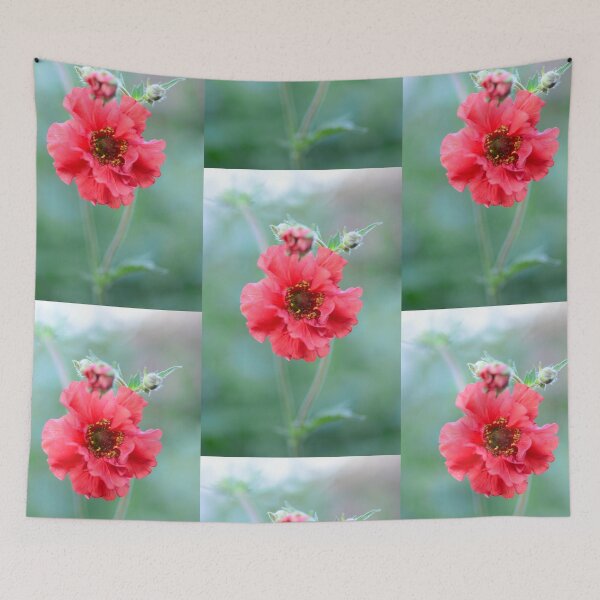 Item preview, Anemone - Windflower - Dancing in the Breeze designed and sold by imaginethis.