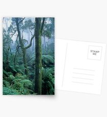 Winter Morning on Mount Dandenong Postcards