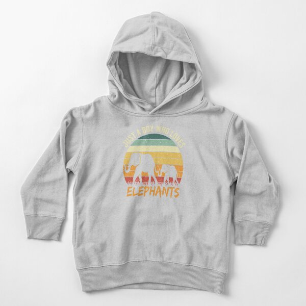 Just A Boy Who Loves Elephants Toddler Pullover Hoodie